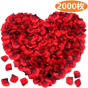 Ԃт2000Zbg t[V[  KN  v|[Y   EGfBO 2 a j oɃ[...