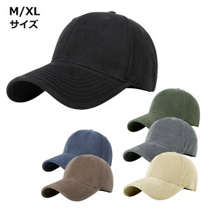 Lbv [ 傫 H ~ Y 傫 Xq Rbg Vv n fB[X JWA y 