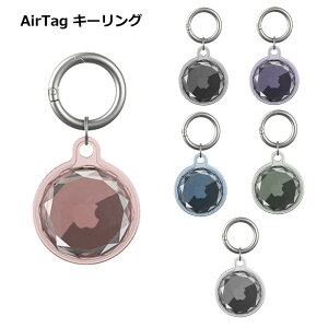 AirTag P[X L[z_[ L[O ی  h~ LL 킢 Apple  ؍ 