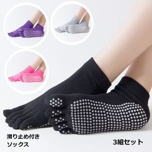 ܖ{w\bNX ~ 3Zbg Y Ԃ  X|[c 5{w ܖ{w C 