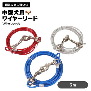 C[[h  [h v 5m i[P[u p[h [v ^ O[h hbO[h C[ [h [v 