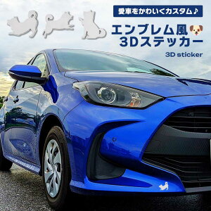  XebJ[  3D  Gu Vo[ fR[V 킢  J[XebJ[ OΉ ȒP\t ɂ J[ANZT[ ybgD  Mtg 