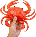 蟹のおもちゃ イセエビのおもちゃ 子どものおもちゃ 知育玩具 いたずら小道具 海洋動物 フィギュア モデル 早期開発 …