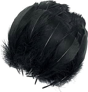 HV[ tFU[V[ 200 H Ղ H Ղ |ޗ tFU[ DIY  Cxg EFfBO a p[eB[ o (ubN)