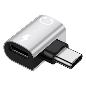 �C���z���W���b�N �ϊ� �^�C�vC 2in1 PD60W �}���[�d USB C to TypeC �C���z�� �ϊ� �^�C�vC �ϊ� �V���o�[