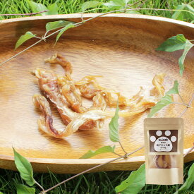 ペットフード 鹿アキレス腱 20g 犬用 国産 おやつ 鹿肉 鹿角 鹿 ドックフード 鹿の角 犬 ジャーキー コラーゲン 中型犬 小型犬 大型犬 アレルギー 無添加 ガム 歯 ストレス 国産 アキレス 足腰 ロクジョウ 【ペット】【SS】
