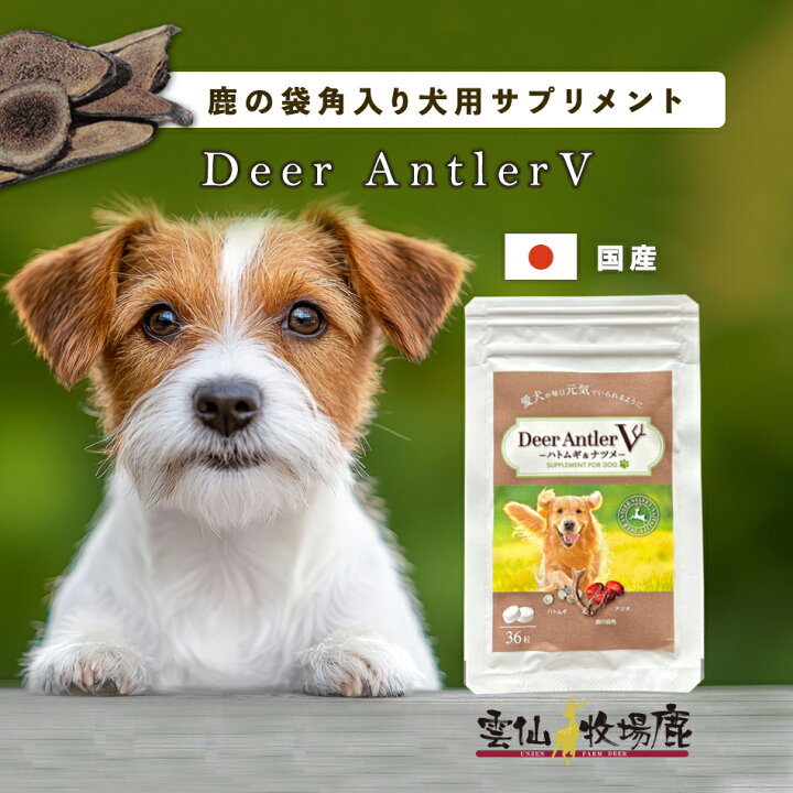 楽天市場】☆新発売☆Deer AntlerV 36粒 犬用 サプリメント 36粒 犬 