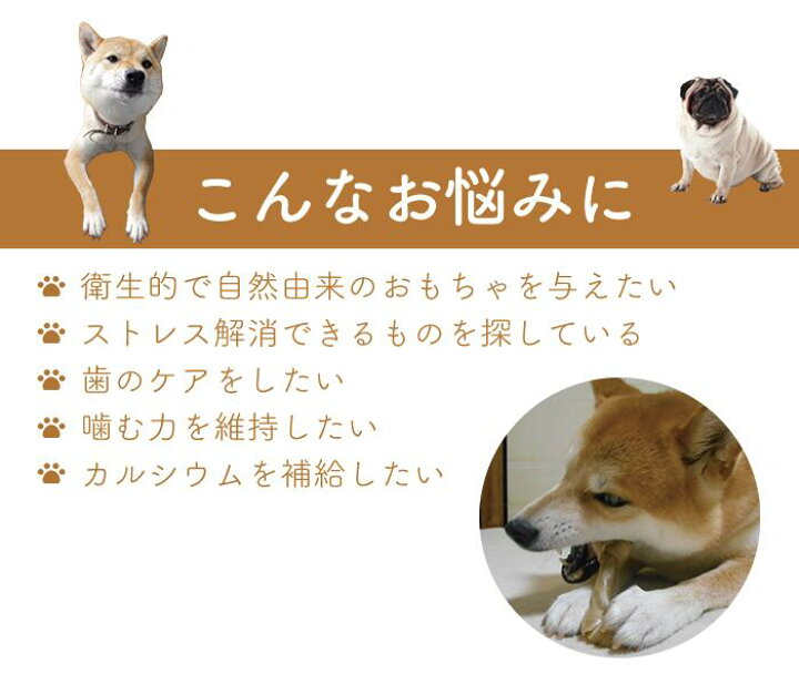 楽天市場 雲仙牧場鹿 犬用鹿アキレス腱 g犬用 国産 おやつ ペットフード 鹿肉 ドックフード コラーゲン 中型犬 小型犬 大型犬 アレルギー 無添加 無着色 カルシウム ガム 歯 骨 筋 ストレス 国産 九州産 人気 鹿 アキレス 足腰 鹿の角本舗 楽天市場店