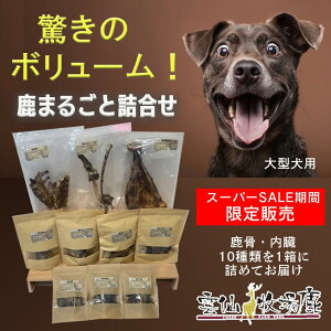 ^p ܂邲Ƌl ybĝ ybgt[h  ̊p p x S ̑ Cǎx t B n~ b 񂱂 w ΂ W[L[ Y Y AM[  