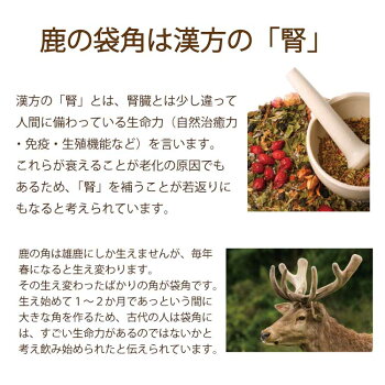 楽天市場 ルーロン 鹿の角 60カプセル 送料無料 鹿茸 ロクジョウ 腎虚 漢方 鹿角 体力 免疫 肺 腎 気力 集中力 生命力 無添加 貧血 自律神経 国産 ナツメ 大棗 ギフト プレゼント 健康 美容 鹿 袋角 生活習慣 サプリ 造血 ホルモン 妊活