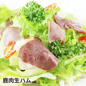  n WrG  VJ   Ԑg xj\    wV[ ς J[ S ܂ Ⓚ _炩 Y V _炩  Mtg ̊p p  NWE _q