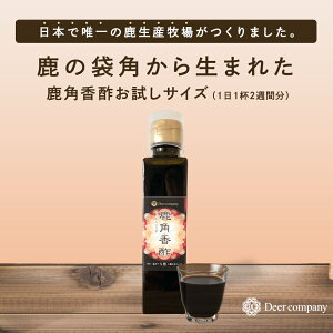yzp| TCY160ml ނ|  NWE ̊p  p Y   Y t t   | ܊p Mtg | NR ic clQ  ݂͂ Tv 