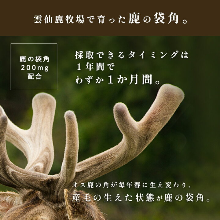 楽天市場】【楽天1位】ルーロン鹿の角 60カプセル 鹿の袋角粉末 鹿茸 