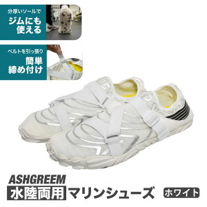 [] xgt  tBbg }V[Y fB[X Y LbY S3F 22cm`28cm AGUV-S5500 ~ }X|[c RpNg y WjA  C v[ EH[