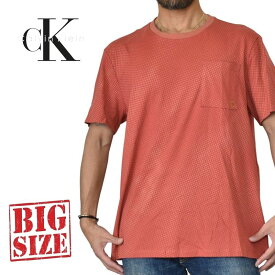 CK カルバンクライン Calvin Klein クルーネック 半袖Tシャツ ドット柄 ポケット XL XXL 大きいサイズ メンズ