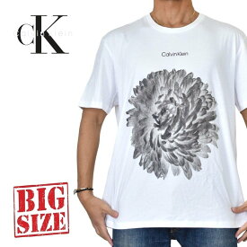 CK カルバンクライン Calvin Klein クルーネック 半袖Tシャツ ロゴプリント XXL 大きいサイズ メンズ