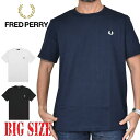 大きいサイズ メンズ FRED PERRY フレッドペリー 半袖Tシャツ ワンポイント ロゴ刺繍 Ringer T-Shirt 黒 白 ブラック ホワイト ネイビー XL XXL XXXL