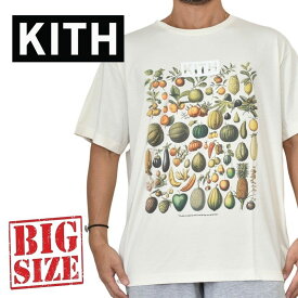大きいサイズ メンズ KITH NYC キース キス 半袖 グラフィック Tシャツ XXL あす楽