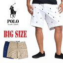 ポロラルフローレン POLO RALPH LAUREN ポニー総柄 カラーショーツ ハーフパンツ 9インチ 38 40 42インチ 大きいサイズ メンズ