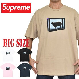 大きいサイズ メンズ Supreme シュプリーム Damien Hirst Tee 半袖 Tシャツ XXL