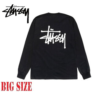 店舗限定！Stussy グラフィックロングスリーブTシャツ ステューシー 