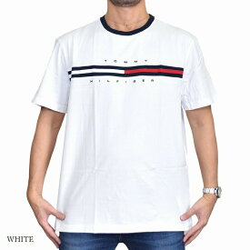 大きいサイズ メンズ TOMMY HILFIGER トミーヒルフィガー ロゴ 刺繍 半袖Tシャツ 黒 白 ネイビー 赤 レッド TINO XXL XXXL XXXXL