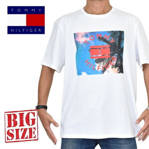 傫TCYY TOMMY HILFIGER g~[qtBK[ TVc N[lbN OtBbNvg  XXL