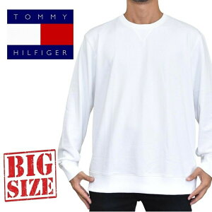 トミー ヒルフィガー Tommy Hilfiger 大きいサイズ メンズパーカー トレーナー 通販 人気ランキング 価格 Com