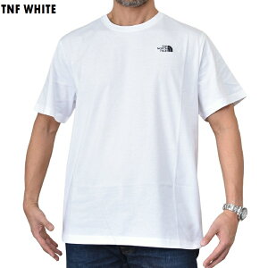 �傫���T�C�Y �����Y �m�[�X�t�F�C�X ���� �����|�C���g�h�J T�V���c THE NORTH FACE EVOLUTION SIMPLE DOME REGULAR SHORT SLEEVE TEE EU���C�� ���[���b�p���f�� �� �� �u���b�N �z���C�g L XL XXL