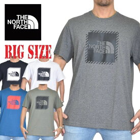 ノースフェイス 大きいサイズ メンズ 半袖 ロゴプリント Tシャツ Biner Graphic 2 EUライン 海外モデル 黒 白 グレー ブルー グリーン XL XXL THE NORTH FACE