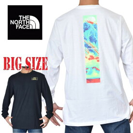 ノースフェイス 大きいサイズ メンズ ロンT 長袖 Tシャツ GRAPHIC INJECTION TEE XL XXL XXXL USAモデル THE NORTH FACE