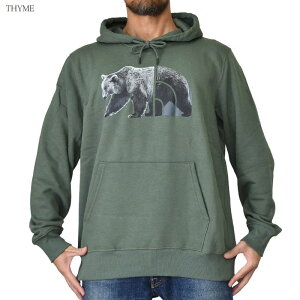 m[XtFCX 傫TCY Y vI[o[ p[J[ N XEFbg t[fB[ xA[ O[  ubN TNF BEAR PULLOVER HOODIE XL XXL XXXL USAf THE NORTH FACE