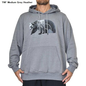 m[XtFCX 傫TCY Y vI[o[ p[J[ N XEFbg t[fB[ xA[ O[  ubN TNF BEAR PULLOVER HOODIE XL XXL XXXL USAf THE NORTH FACE