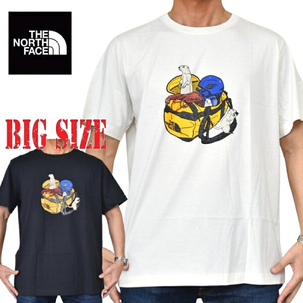 大きいサイズ メンズ ノースフェイス THE NORTH FACE 半袖 Ｔシャツ プリント USAモデル Woodland Wanderer Regular Short-Sleeve Tee XL XXL XXXL
