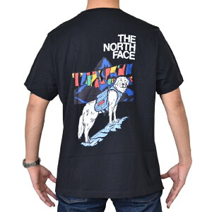 �傫���T�C�Y �����Y �m�[�X�t�F�C�X THE NORTH FACE ���� T�V���c �v�����g USA���f�� Sunlit Summit Short-Sleeve Tee XL XXL XXXL