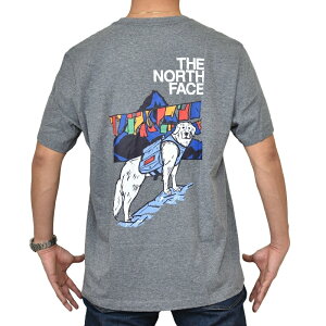 �傫���T�C�Y �����Y �m�[�X�t�F�C�X THE NORTH FACE ���� T�V���c �v�����g USA���f�� Sunlit Summit Short-Sleeve Tee XL XXL XXXL