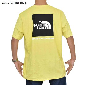 ノースフェイス 大きいサイズ メンズ 半袖 ボックスロゴ Tシャツ バックプリント SS PRINTED BOX NSE TEE 黒 ブラック XL XXL XXXL 黒 ブラック 白 ホワイト レッド 赤 青 ブルー オリーブ グリーン THE NORTH FACE USAモデル