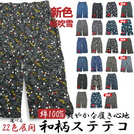 【和柄 ステテコ】ロンパン M～4L メンズ 蒸れない 部屋着 定番 旅行 室内着 快適 プレゼントにも 綿100% コットン 和パンツ 選べる19色展開 シャツと一緒にどうぞ 【2026 新色登場！】