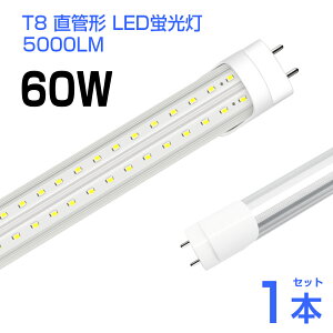 y[zyzledu 60W` T8  LEDu 240LED`bv Px 5000LM F6500K 120cm G13 FRa87 1198mm d36W Hsv LEDCg Lp 270°Lz yʔ h u led 