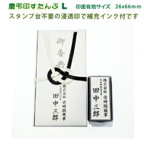 c X^vÊ T p 傫߁ELtypeZ [CNt LʃTCY 26x66mm[ւł͖͑łI