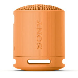 SONY CX|[^uXs[J[ SRS-XB100D IW SRSXB100D ([ڈ1T~)