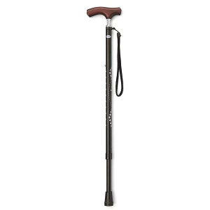 ~L LEPC   (517304) (XebL ) [J[ (EFt@)  (pi)