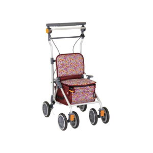 Vo[J[ JSmAM bh SLM05 Ka쏊 (쏤i) (306700) [J[ (EFt@) 