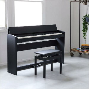 [h dqsAm FV[Y ubN F107-BKXE2 s̃f (F107BK) ɍᎩ݈֎qwbhztIWif GA͑ݒu