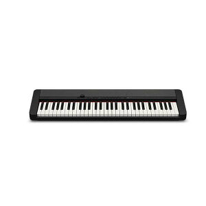 CASIO JVI x[VbNL[{[h CT-S1BK ubN CTS1BK ([ڈ1-2T)