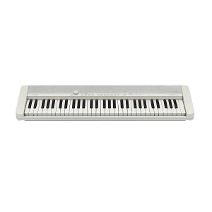 CASIO JVI x[VbNL[{[h CT-S1WE zCg CTS1WE ([ڈ1-2T)