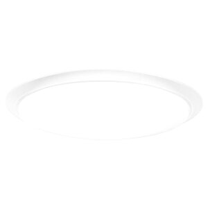  ~12p LEDV[OCg NLEH12031D-LC ([ڈ1-2T)