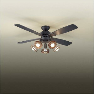 _CREfL LEDV[Ot@ ASL-513 ([ڈ1-2T) ͂̂݁F֐܂ T[L[VʂŏȃGl