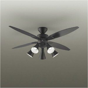 _CREfL LEDV[Ot@ ASL-515 ([ڈ1-2T) ͂̂݁F֐܂ T[L[VʂŏȃGl ASL515