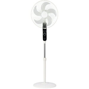 AsbNXC^[iVi ACtA[@ AFL-256RWH zCg AFL256RW ([ڈ3T~)